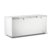 Thermaster Chest Freezer with Stainless Steel Lid 750L - BD750F
