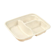 PakMax Sugarcane Small 3-Compartment Food Container - FC-31-S