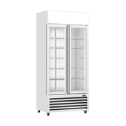 Thermaster Double Glass Door Colourbond Upright Drink Fridge 580L - LG-580P