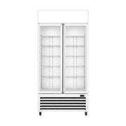Thermaster Double Glass Door Colourbond Upright Drink Fridge 580L - LG-580P
