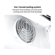 Thermaster Two Glass Door Colourbond Upright Drink Fridge - LG-730BP