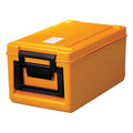 Rieber Toploader Thermoport Delivery System - 100 K