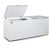 AG Commercial Chest Freezer 670L - BD700S
