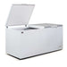 AG Commercial Chest Freezer 850L - BD900S