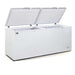 AG Commercial Chest Freezer 670L - BD700S