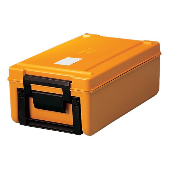 Rieber Toploader Thermoport Delivery System - 50 K