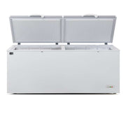 AG Commercial Chest Freezer 670L - BD700S