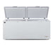 AG Commercial Chest Freezer 670L - BD700S