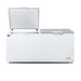 AG Commercial Chest Freezer 850L - BD900S