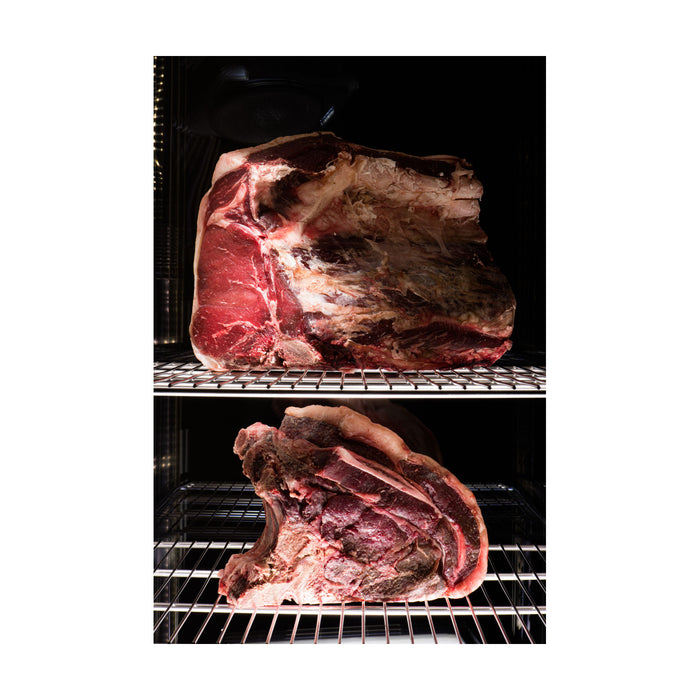 Everlasting All In One Dry Age/Seasoning Cabinet - DAE0700