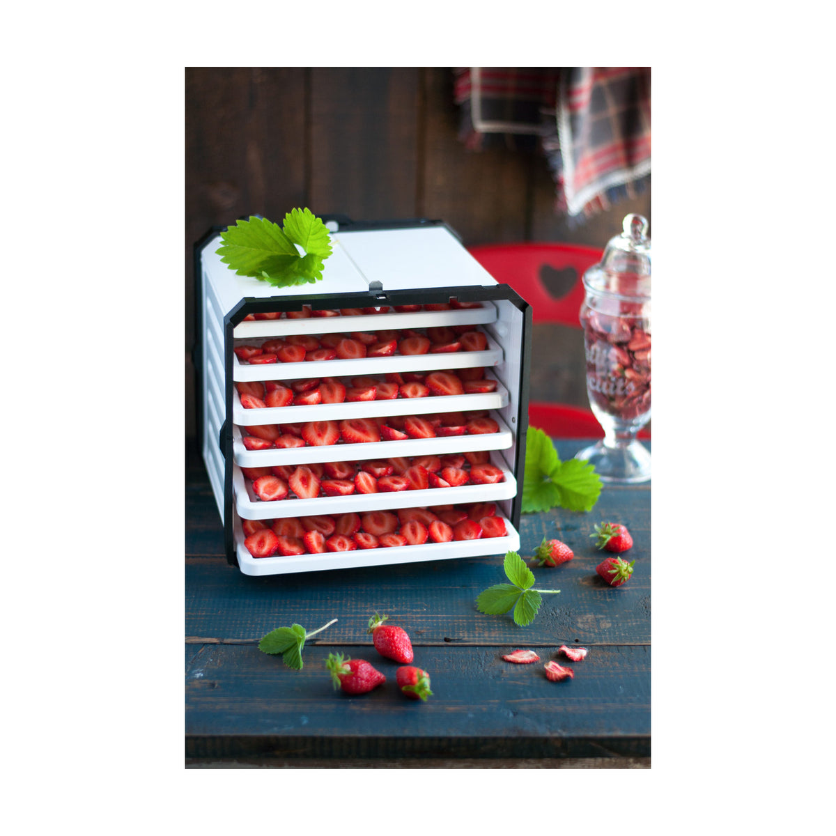 Tre Spade Atacama Cube Dehydrator - DCT1001