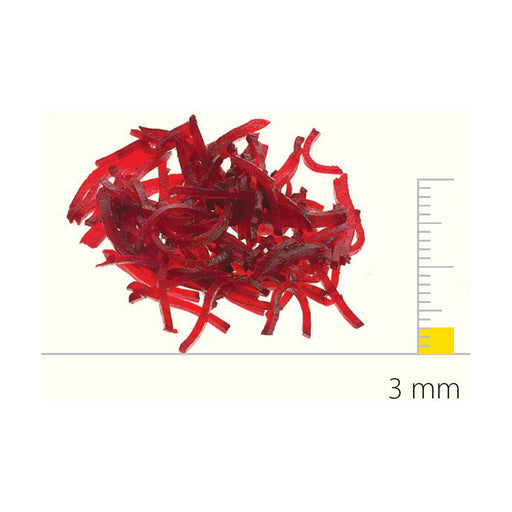 Dito Sama SS Shredding Disc with S-Blades 3x3mm - DS650167