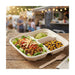 PakMax Sugarcane Small 3-Compartment Food Container - FC-31-S