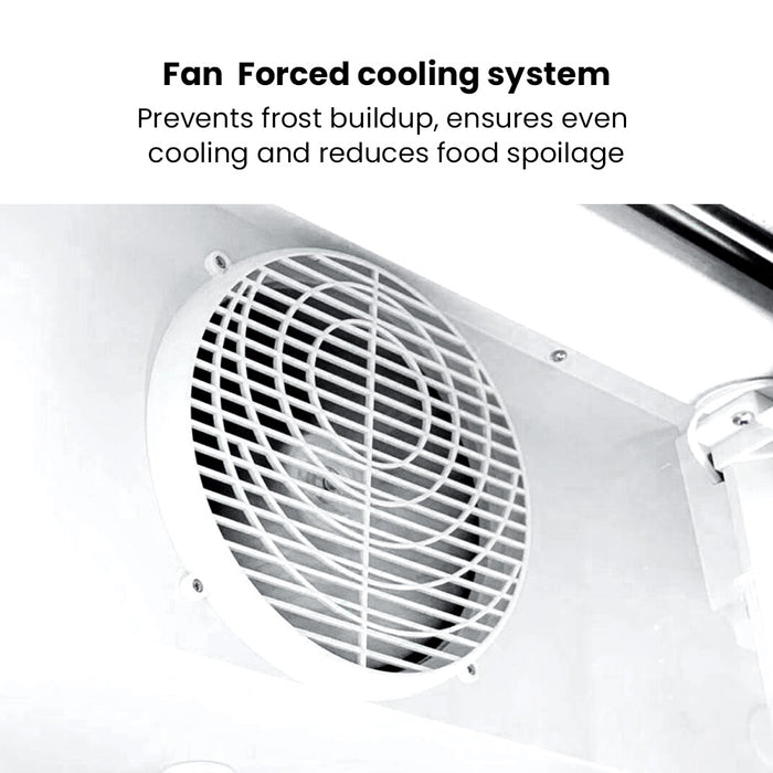 Thermaster Large Two Glass Door Colourbond Upright Drink Fridge 1200L - LG-1200P