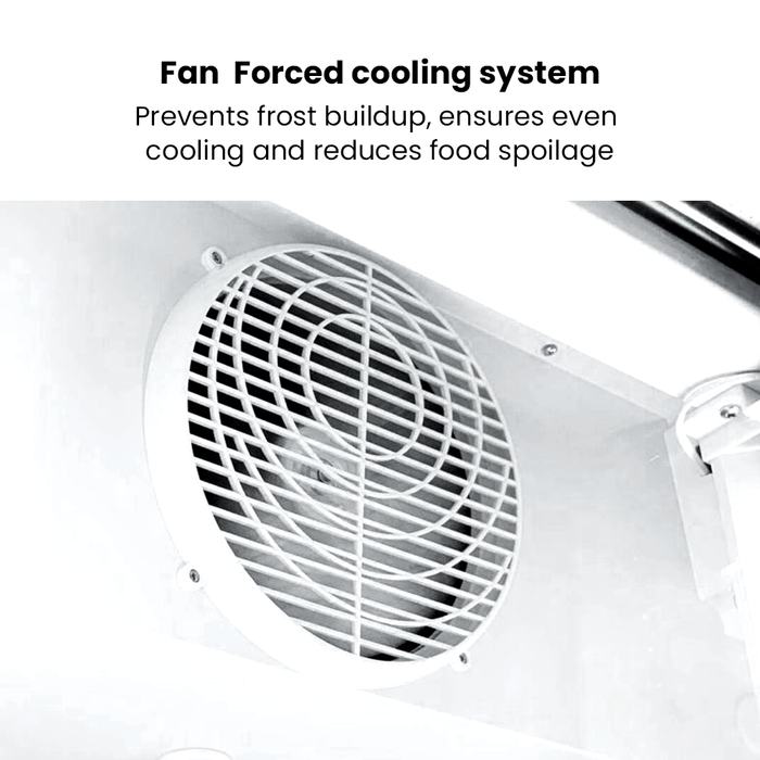 Thermaster 3 Glass Door Colourbond Upright Drink Fridge 1203L - LG-1203BP