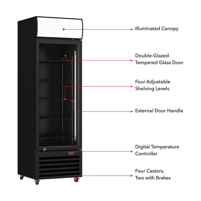 Thermaster 1 Glass Door Colourbond Upright Drink Fridge 370L - LG-370BP