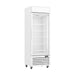 Thermaster Upright Single Glass Door Freezer 400L- LG-400PF