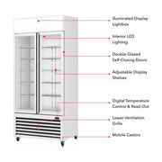 Thermaster Double Glass Door Colourbond Upright Drink Fridge 580L - LG-580P