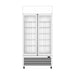 Thermaster Double Glass Door Colourbond Upright Drink Fridge 580L - LG-580P