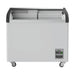 Thermaster Heavy Duty Supermarket Glass Sliding Lid Freezers 303L - SD-306K