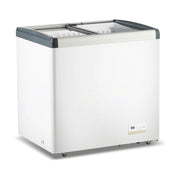 Thermaster Chest Freezer with Flat Glass Sliding Lids 256L - WD256G