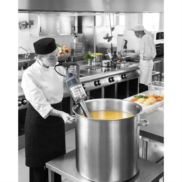 Robot Coupe Immersion Blender - MP450 VV Ultra