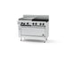 Goldstein Gas Oven Range - PF24G440EFF-X