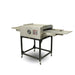 AG HX-2S Commercial Conveyor / Pizza Oven - HX-2S