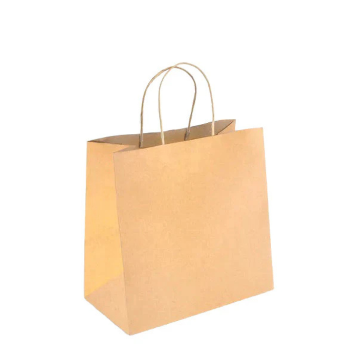 PakMax Small Twist Handle Kraft Paper Bags - RPFR-120-S