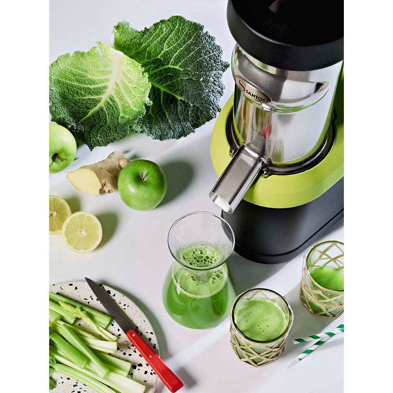 Santos Cold Press Juicer Nutrisantos - SANTOS #65V2