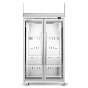 SKOPE ActiveCore TMF 2 Glass Door Upright Display or Storage Freezer with Lit Sign 980L - TMF1000N-AC