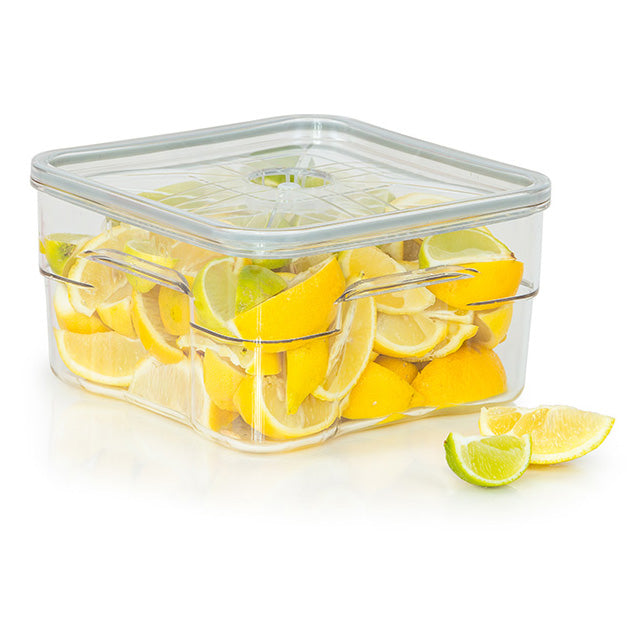 Status 4l Storage Container - VCS0004