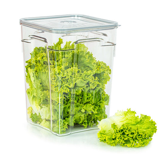 Status 8l Storage Container - VCS0008